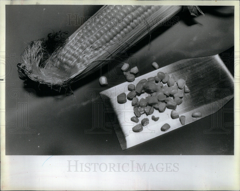 1988 Fresh Corn Cob barley Scallions Toast - Historic Images