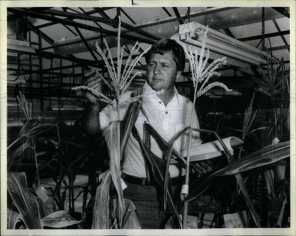 1983 Charlie Krull Dekalb AgResearch - Historic Images