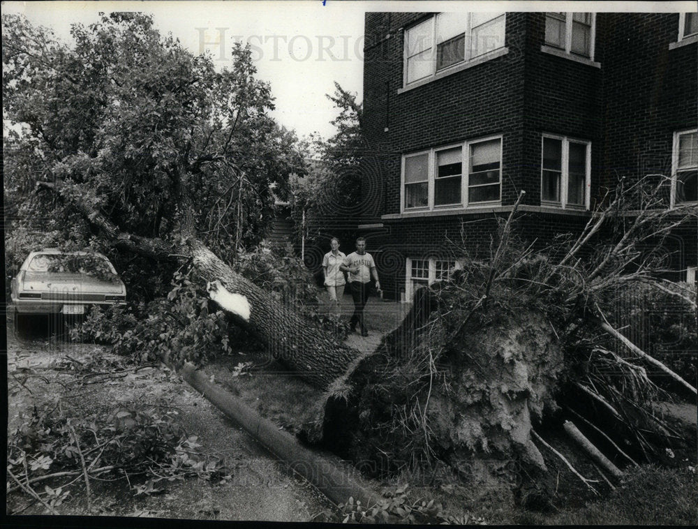 1977 Windstorm Damage Hammond Indiana - Historic Images