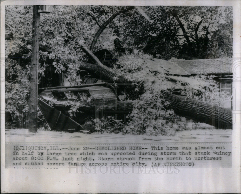 1960 Northwest Storm Strucky Tree Demolishe - Historic Images