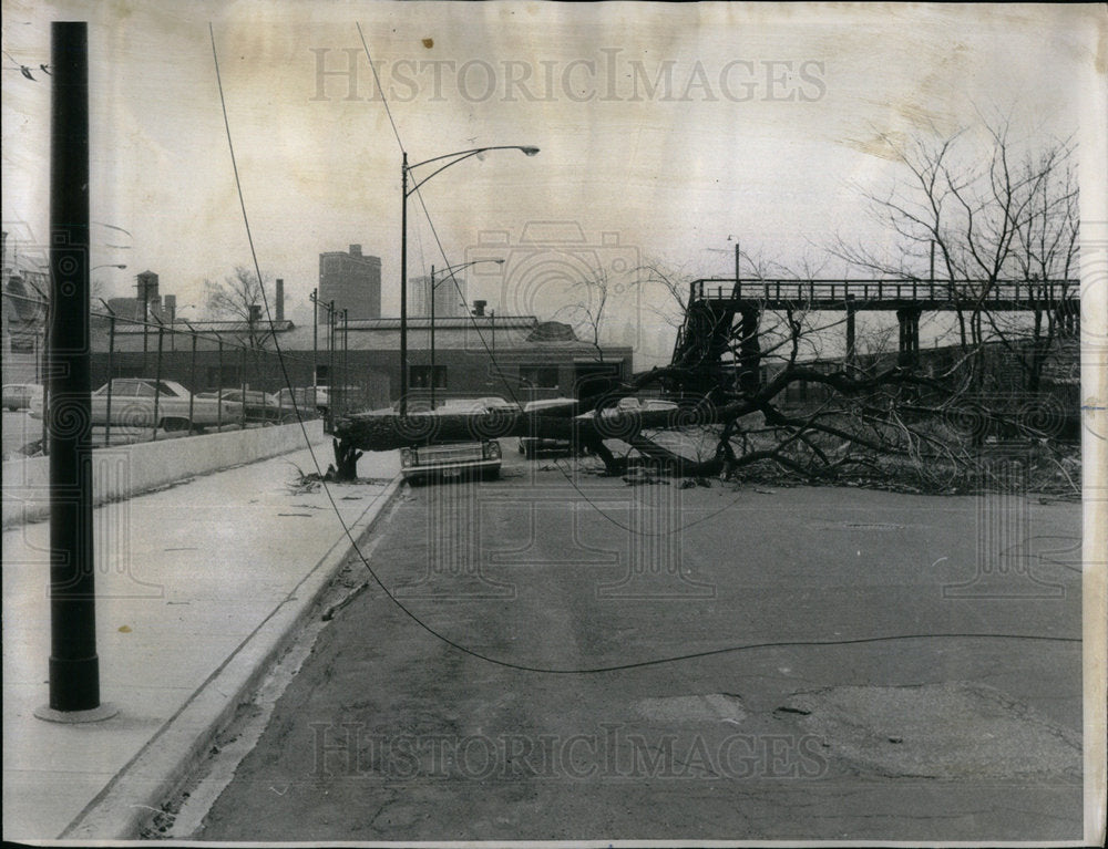 1967 Wind Damage Car Electric Wires - Historic Images