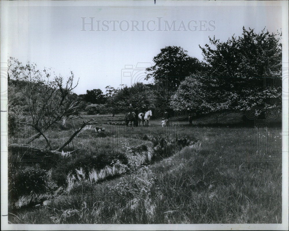 1972 Branigar Winding Ferson Creek paved - Historic Images