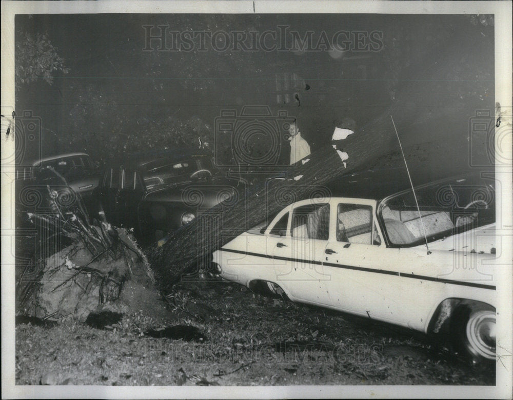 1959 Tree carshed auto high winds Evanston - Historic Images