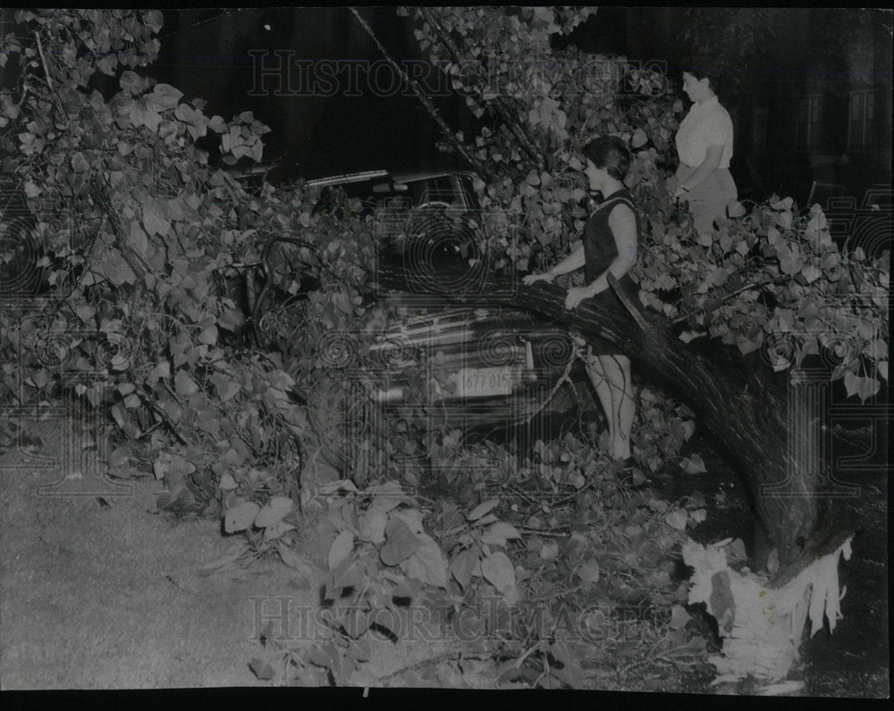 1958 Thunder Storm Fallen tree branches Kay - Historic Images