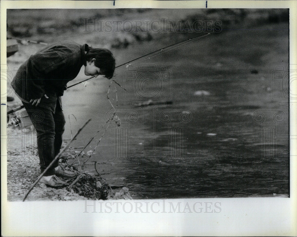 1986 Fish Lincoln Park Lagoon Series - Historic Images