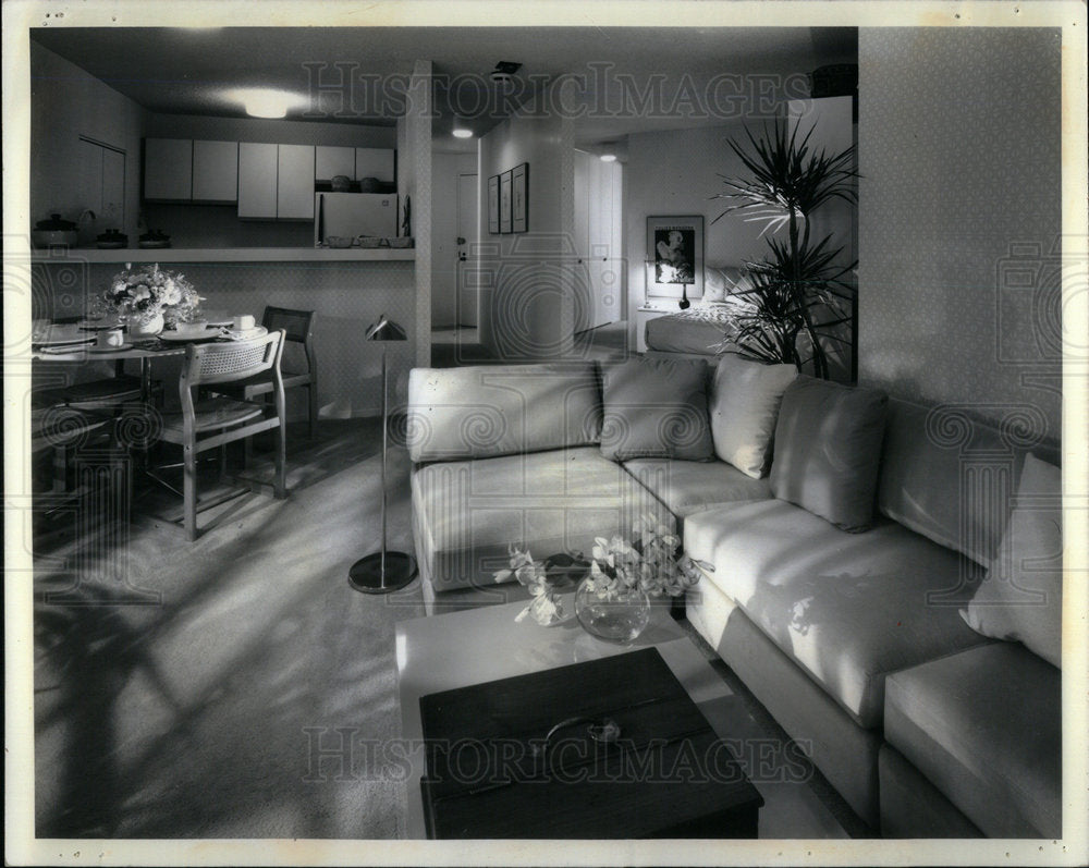 1981 Living Room Interior Designer Jack - Historic Images