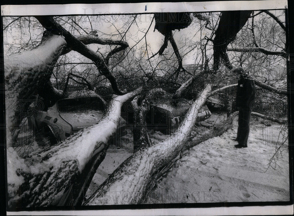 1974 Wind Strom Damage Car Northwestern Uni - Historic Images