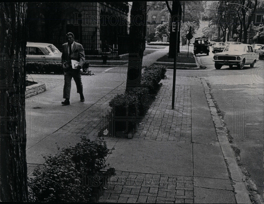 1967 bushes surrounded bricks Astor parkway - Historic Images