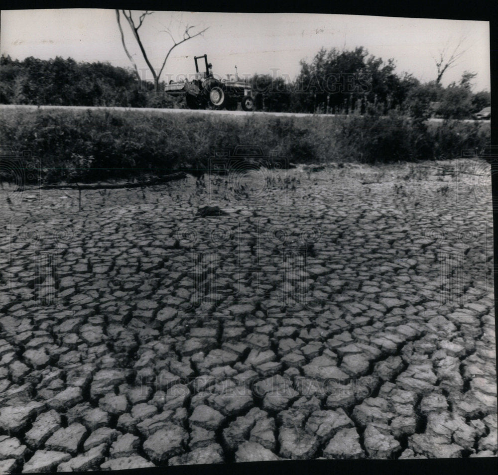 1988 Cook County Forest Preserve Drought - Historic Images