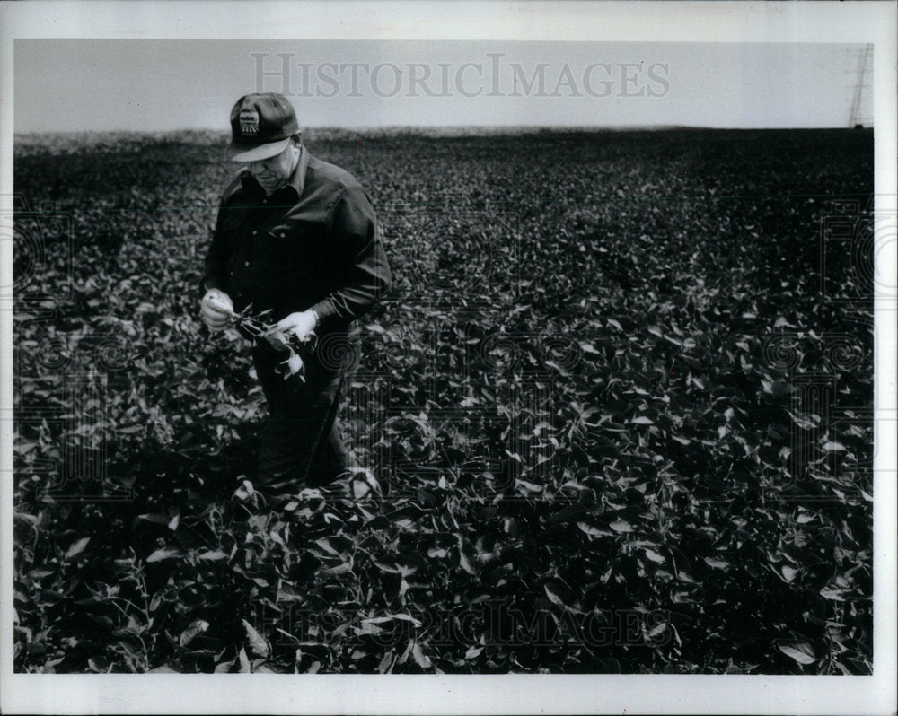 1991 John Baltz Soybean Farm Will County - Historic Images