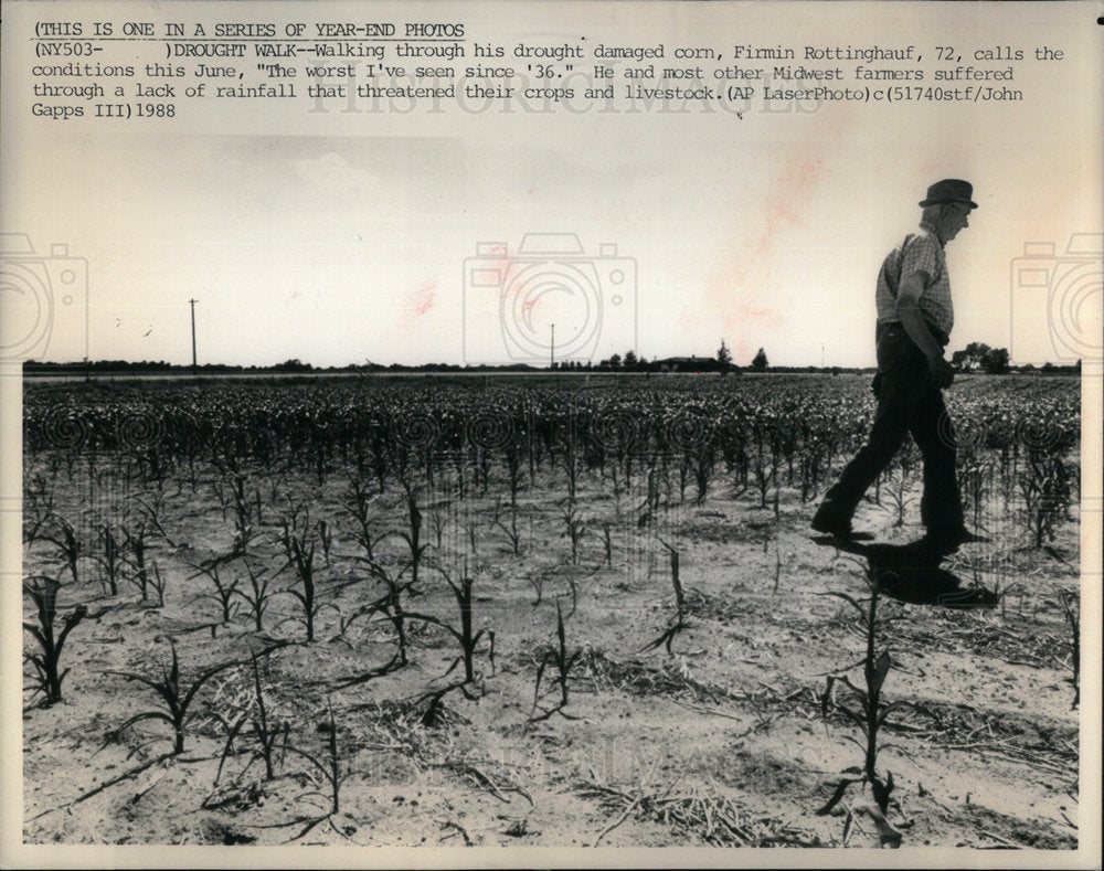 1989 Drought Firmin Rottinghauf Midwest - Historic Images