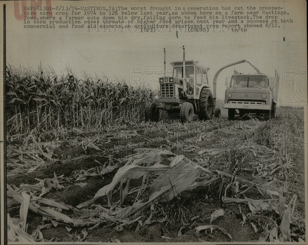 1974 Drought Corn Cultivation Forming - Historic Images