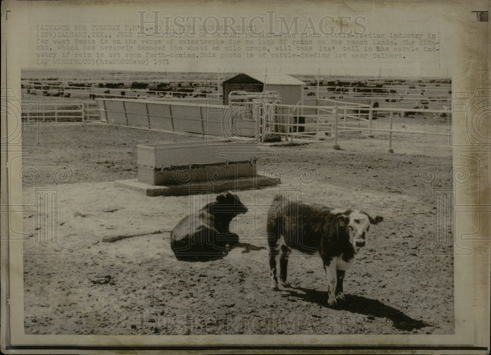 1971 Drought Problem In Texas - Historic Images