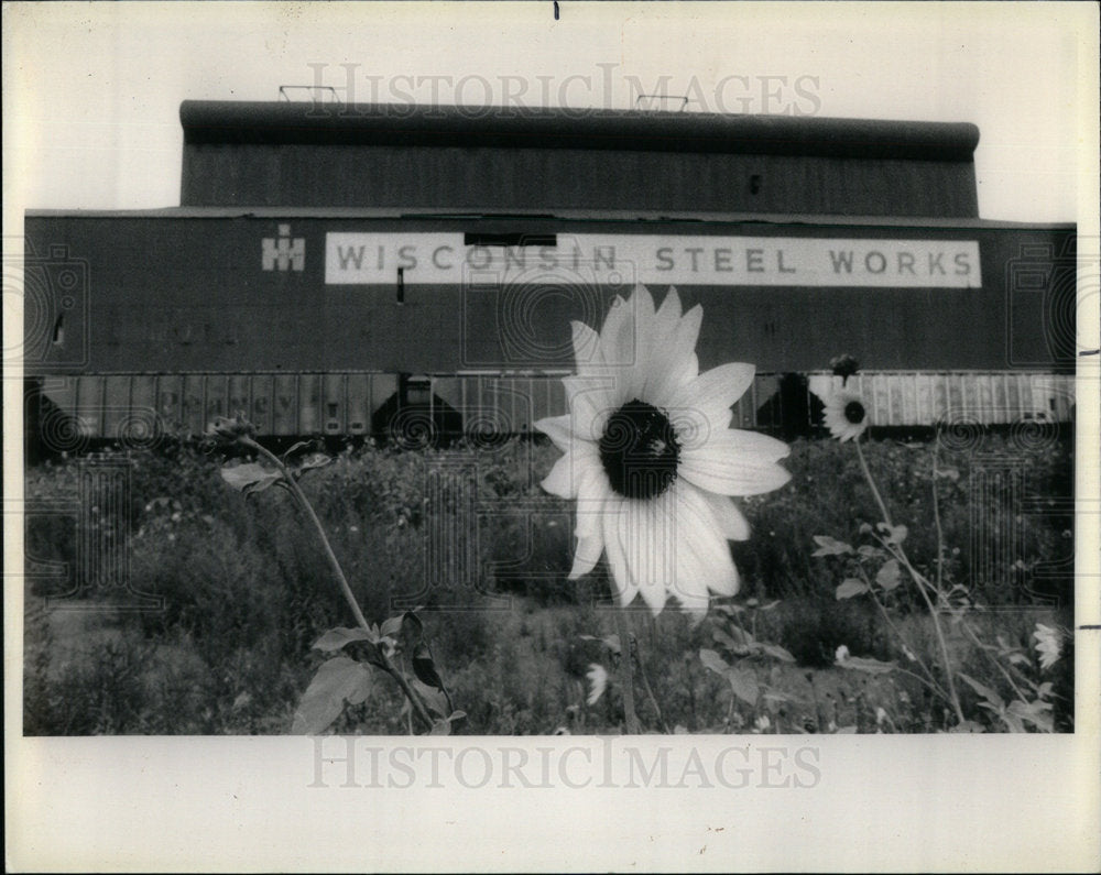 1985 Chicago Hegeuisch East Wisconsin US - Historic Images