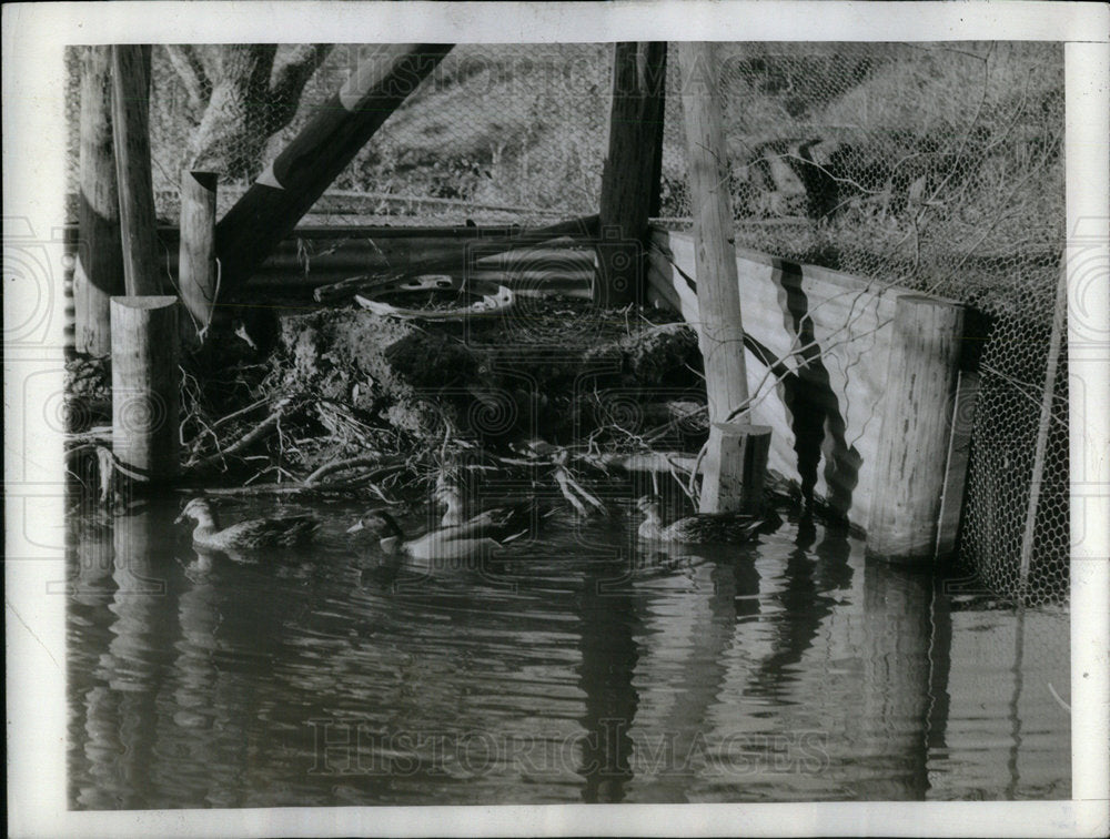 1942 Delta National Wildlife Refuge - Historic Images