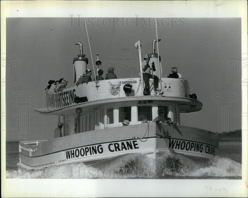 1982 the whooping Crane Travels Into Refuge - Historic Images