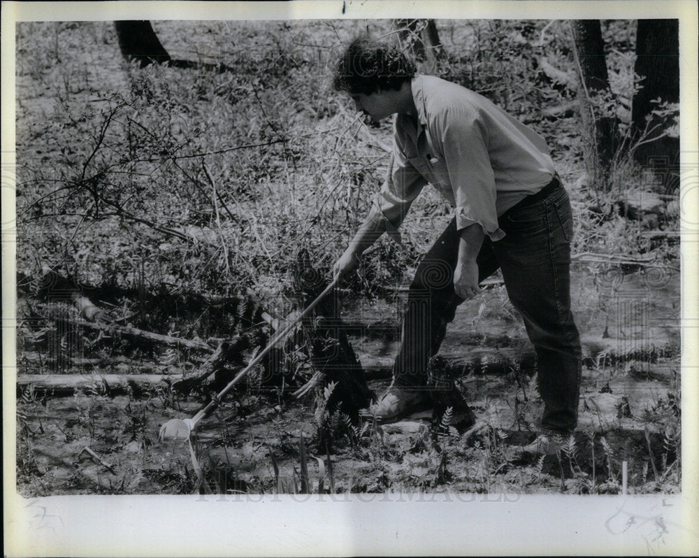 1988 Donald Suchon Tiger Mosquito Dipper - Historic Images