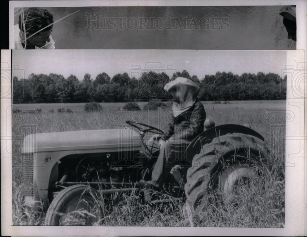 1962 Remove Threat Mosquito Larvae Minnow - Historic Images