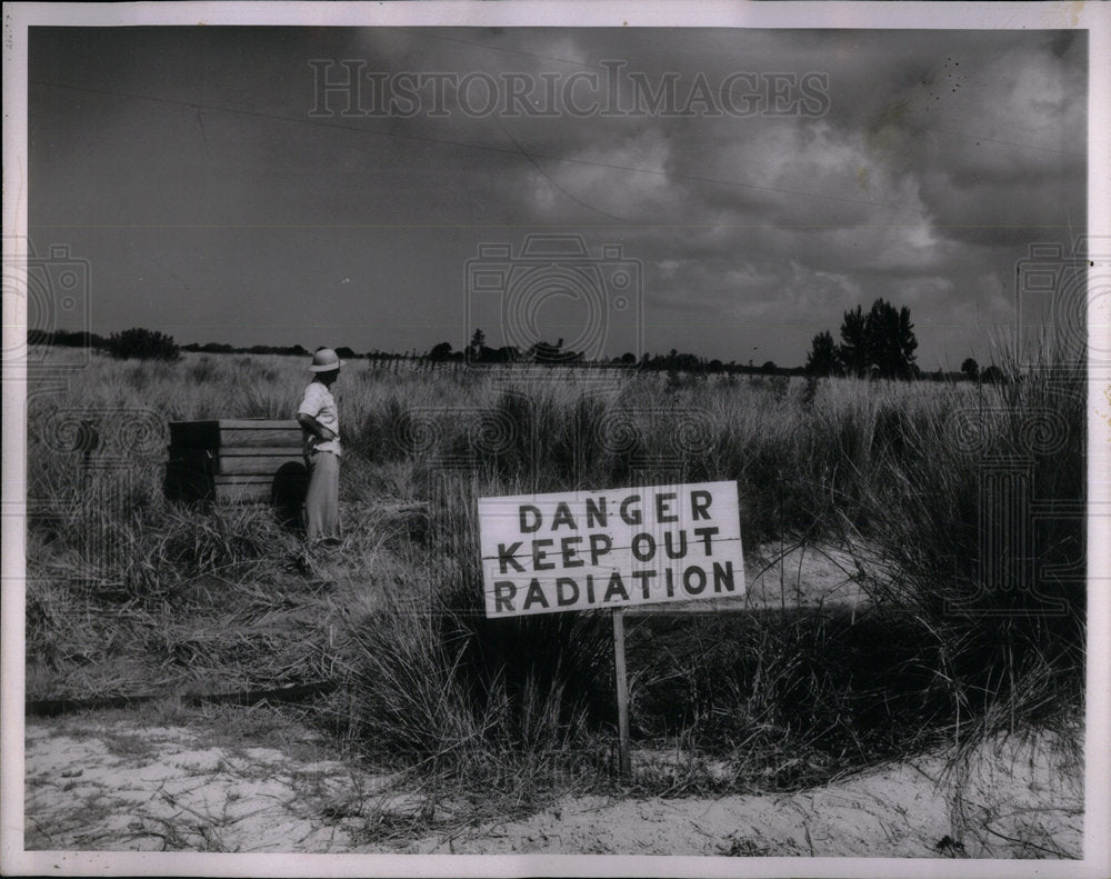 1952 Ditch Radioactive Mosquitoes Bred Folk - Historic Images