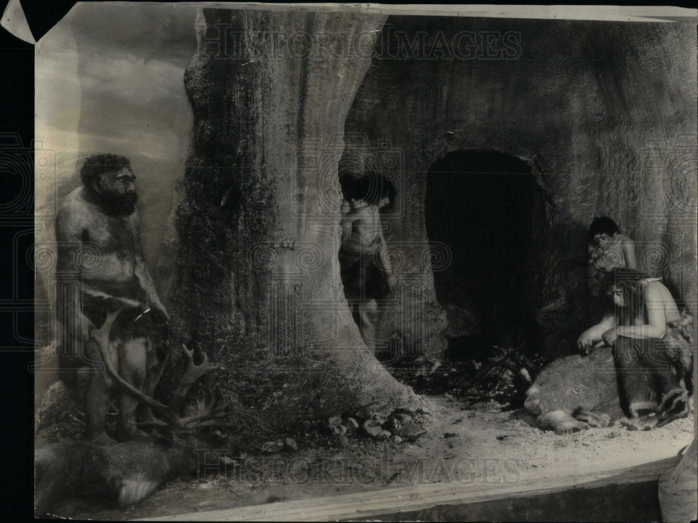 1929 Field Museum Of Natural History - Historic Images