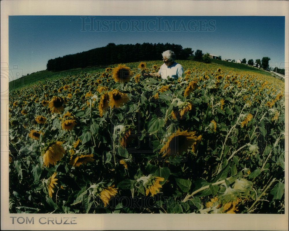 1991 Farewell to Summer Chicago IL - Historic Images