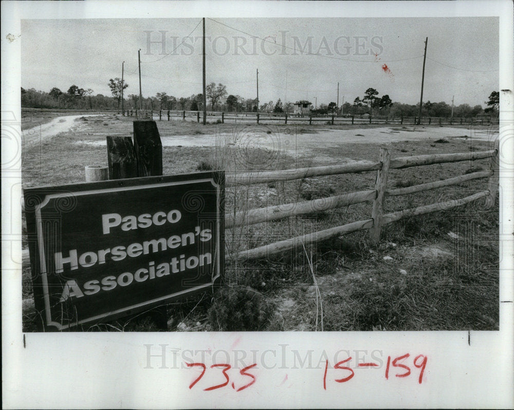 1980 Pasco Horsemen&#39;s Assoc. St. Petersburg - Historic Images