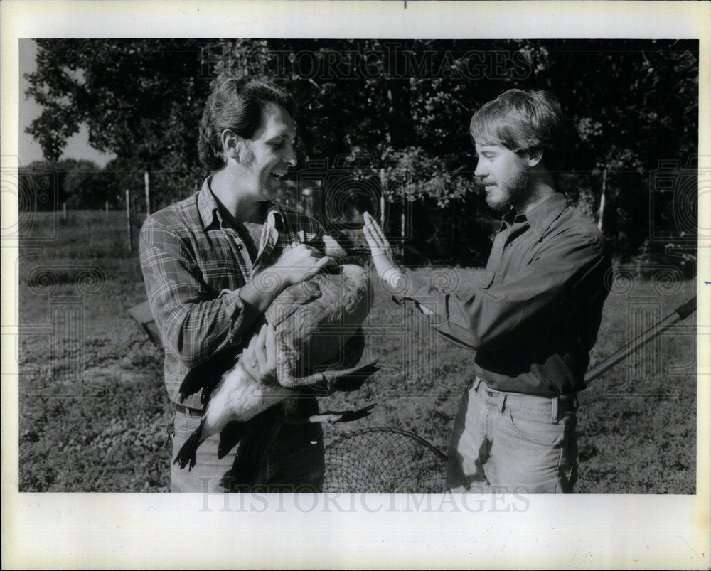 1984 Canada Goose Max McGraw Wildlife - Historic Images