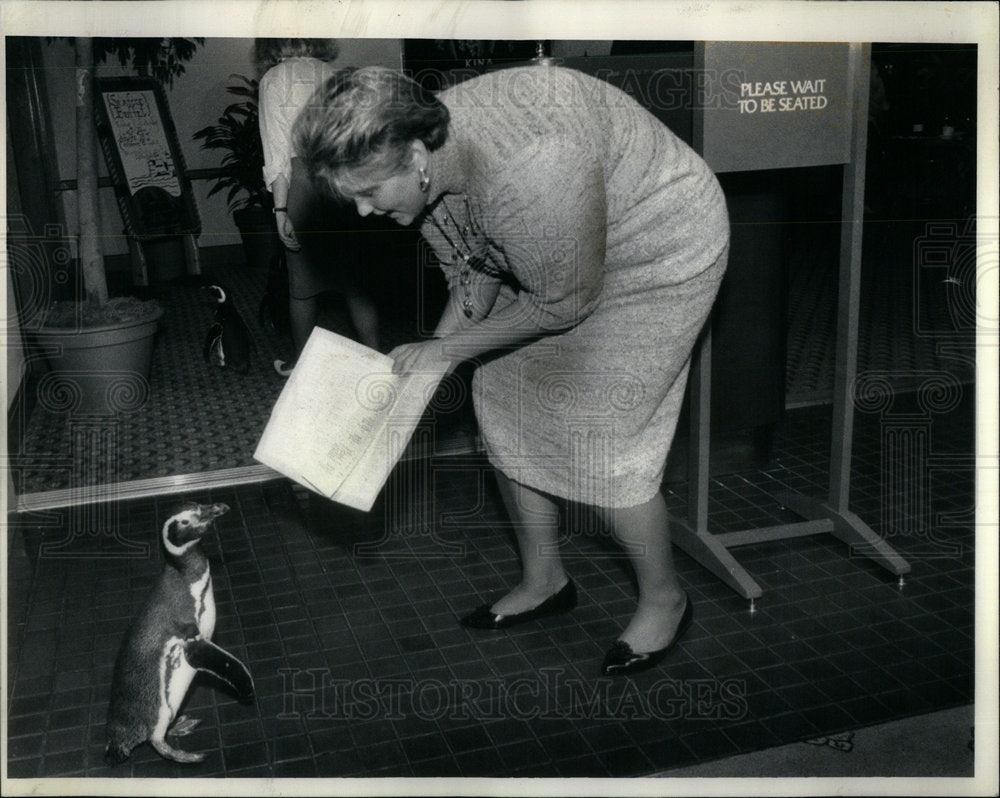 1987 Micheline Kos Penguins Westin O&#39;Hare - Historic Images