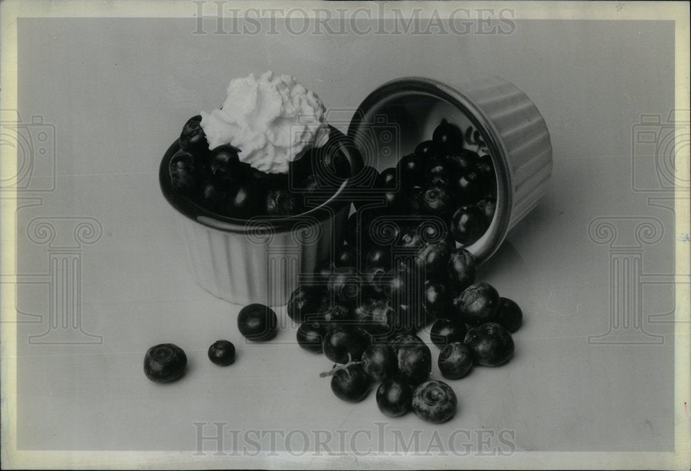 1981 Blueberries Mousse - Historic Images