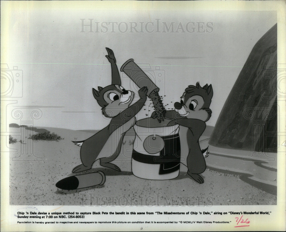 1981 Misadventures of chip n Dale - Historic Images