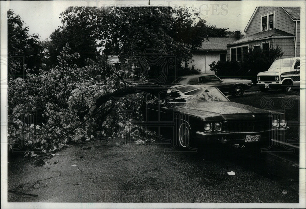 1978 Betty Austin Car Damage Chicago Storm - Historic Images