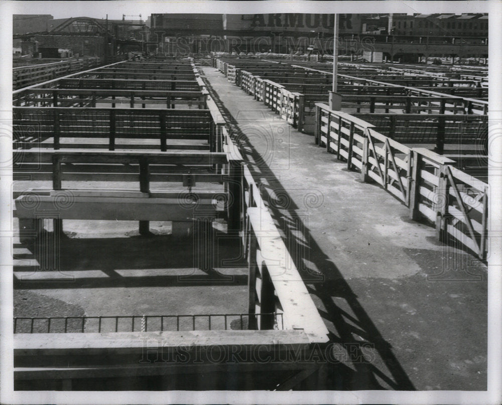 1958 Chicago Stock Yards Boast Modern Pens-Historic Images