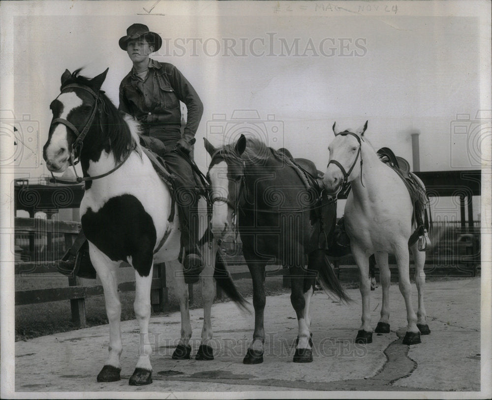 1946 Earl Beurman Cattle horses - Historic Images