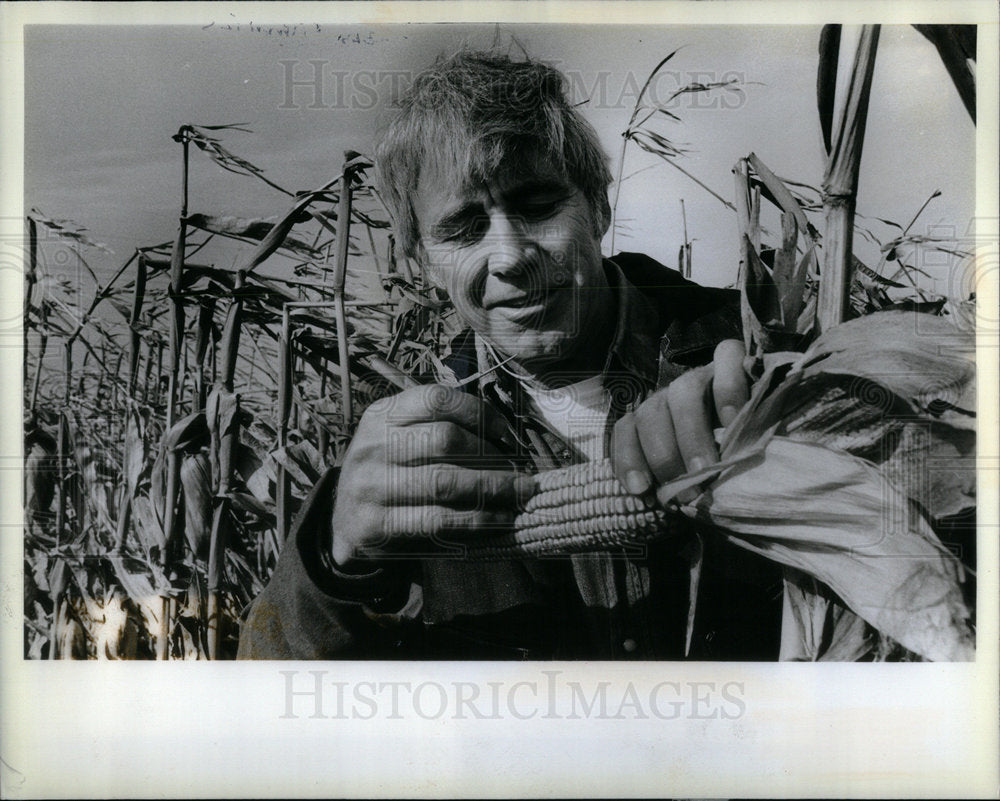 1982 Donald Huftalin Corn Farm Harvesting - Historic Images