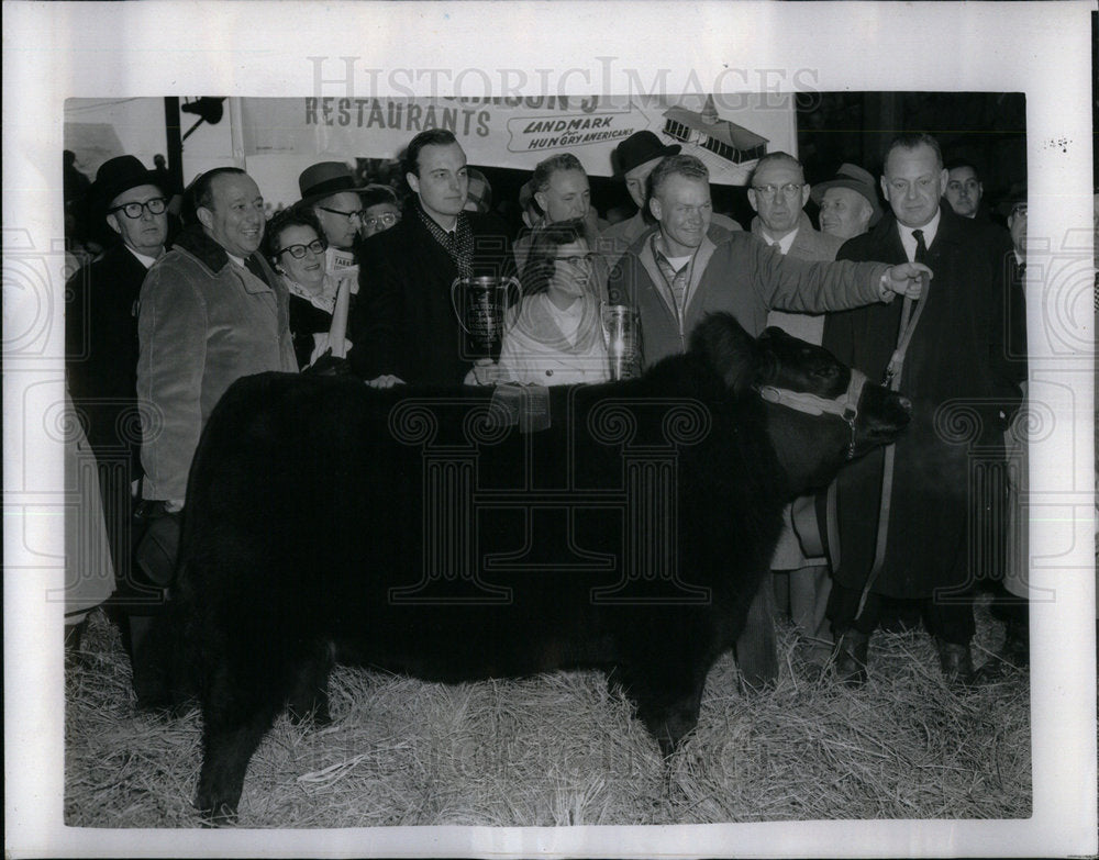 1959 Chicago Grand Champion Steer Auctioned - Historic Images