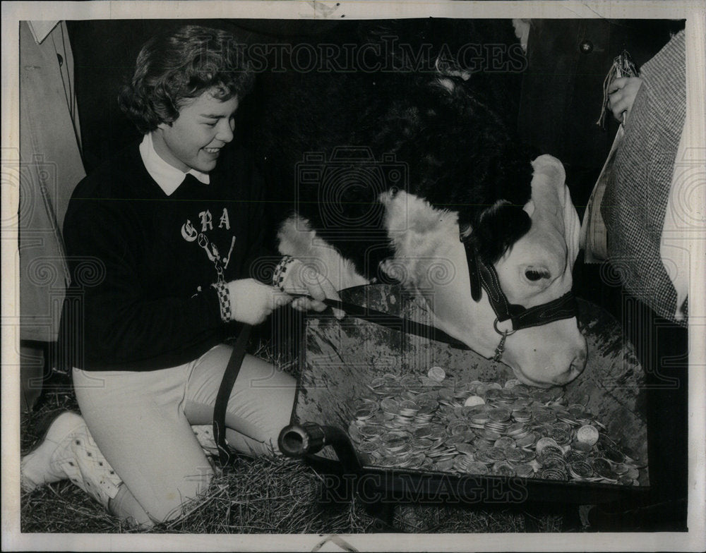 1960 chamption steer Pollock Livestock Show - Historic Images