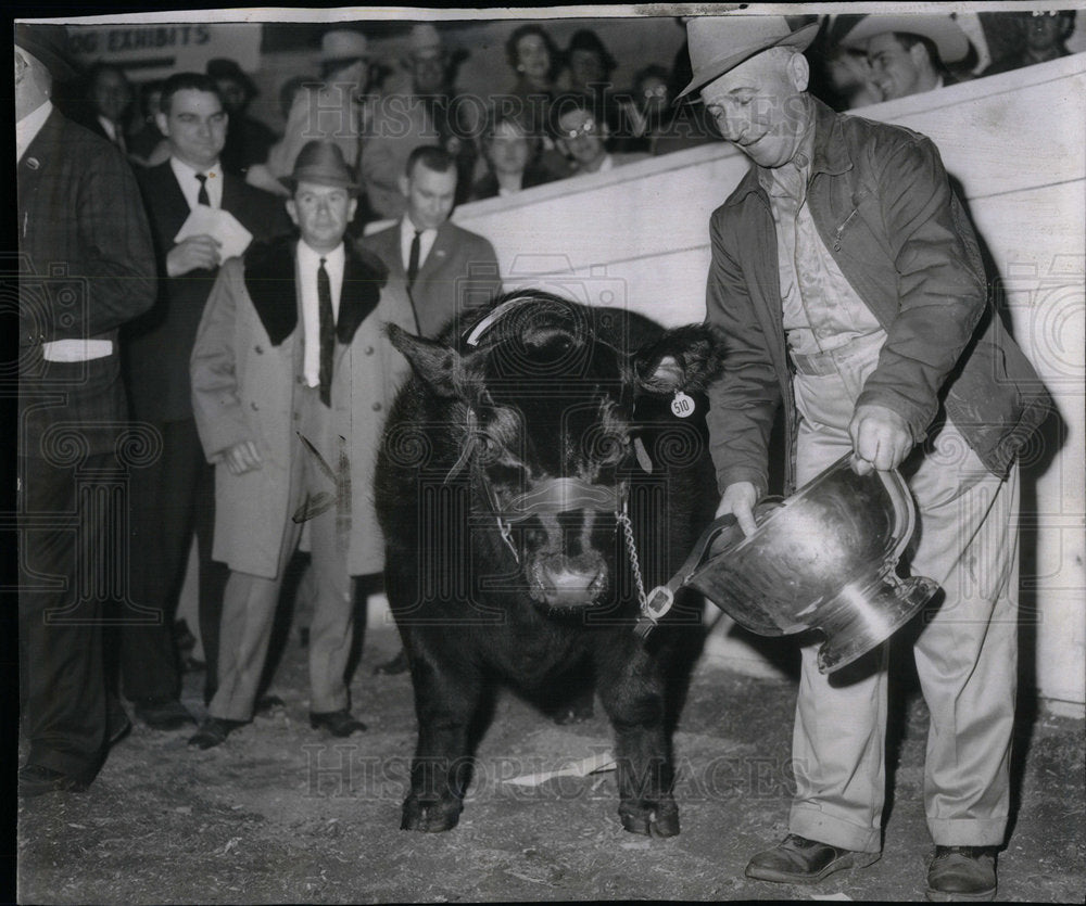 1961 Stock Show Edwards Herdsman State - Historic Images