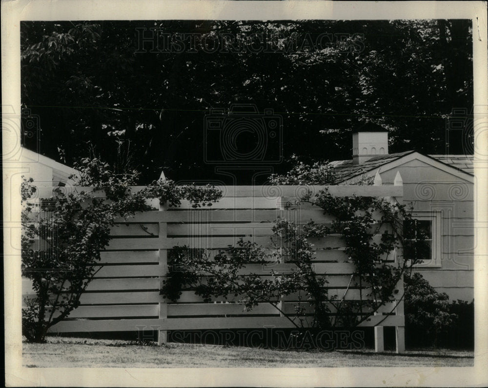 1963 Building Fencing - Historic Images