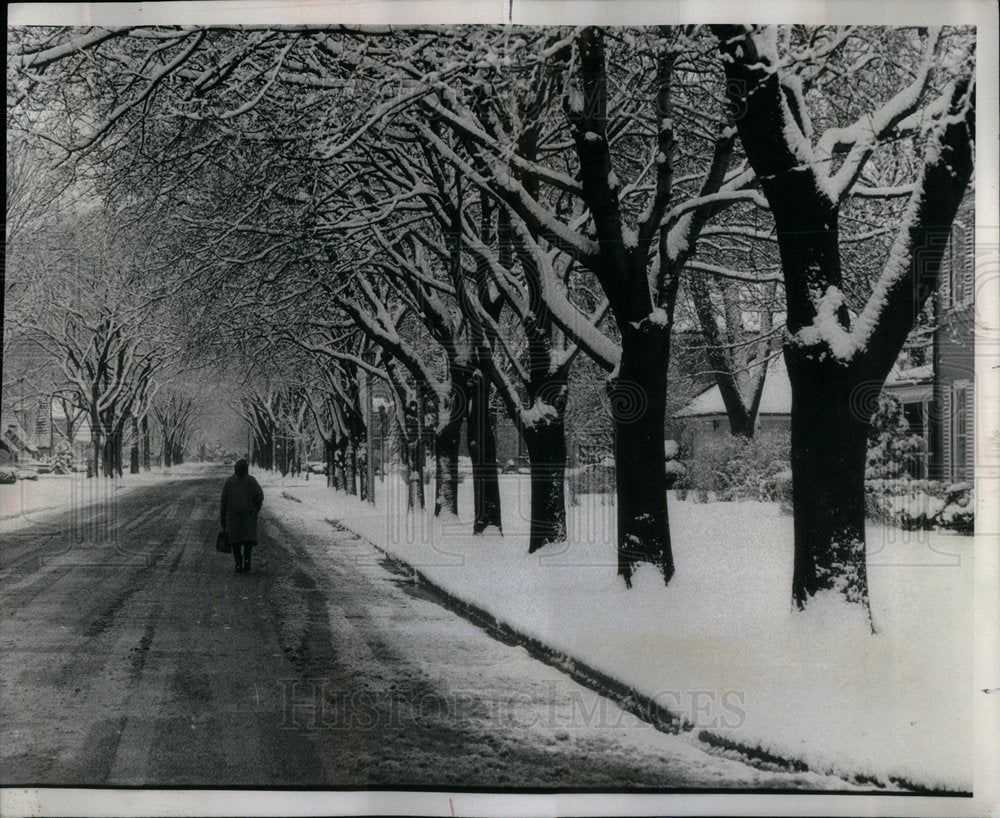1974 Snow Storm Chicago Area - Historic Images