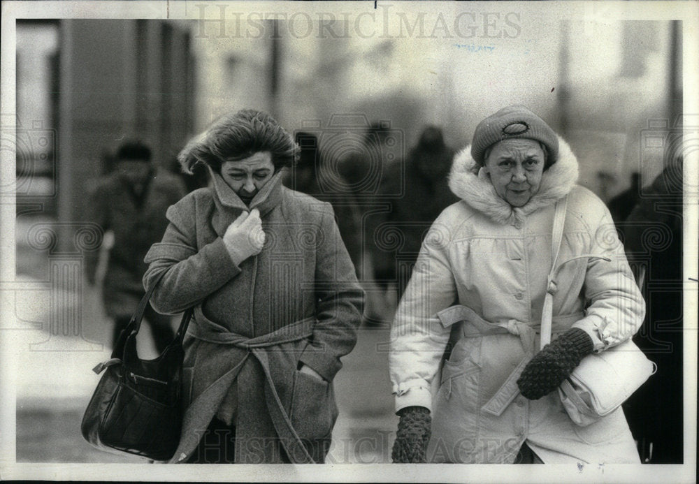 1979 Wind making walk a frigid work in Mich - Historic Images