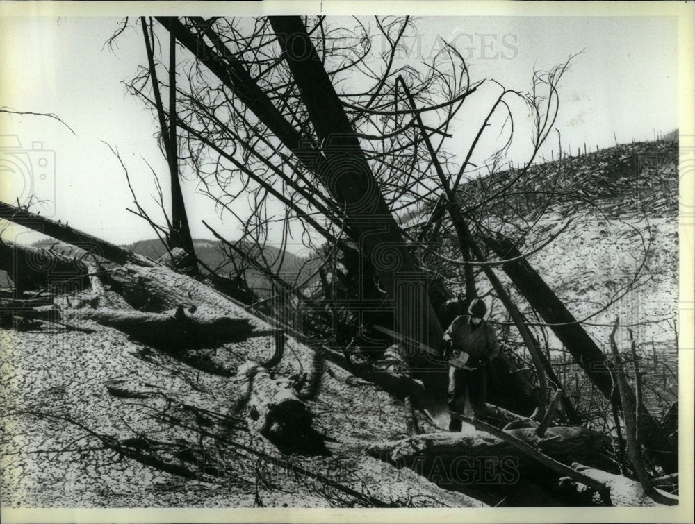1980 Mount St Helen Forest Service Red Zone - Historic Images