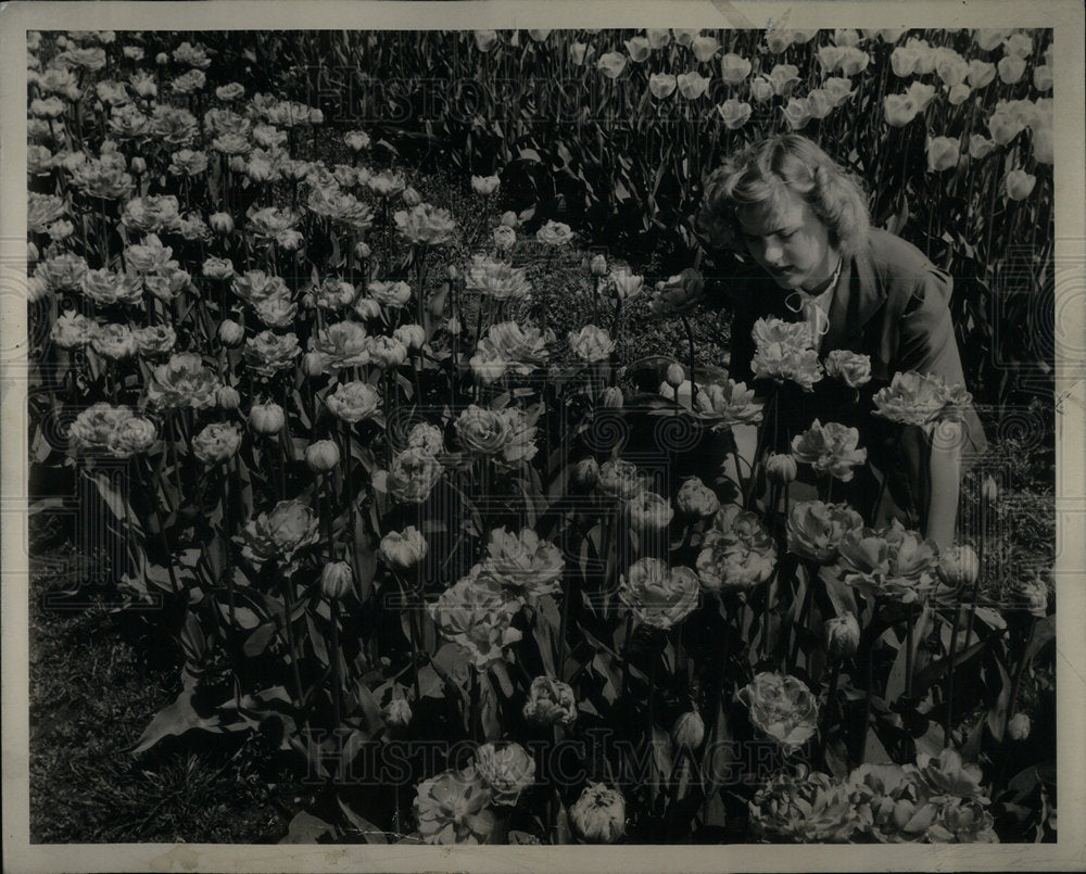 1956 Table garden flowers tulip double - Historic Images