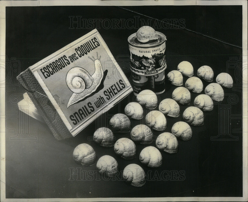 1955 Snails &amp; Shells Packed Separately - Historic Images