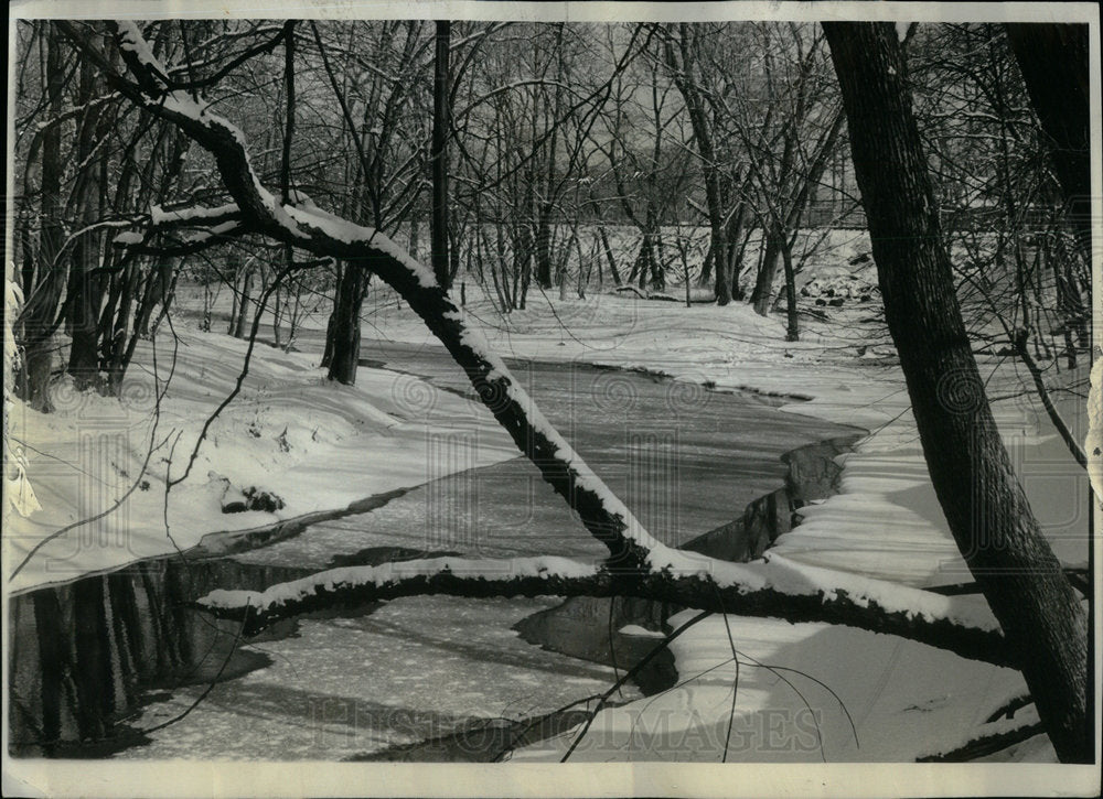 1964 Miami Woods Forest Preserve snow storm - Historic Images