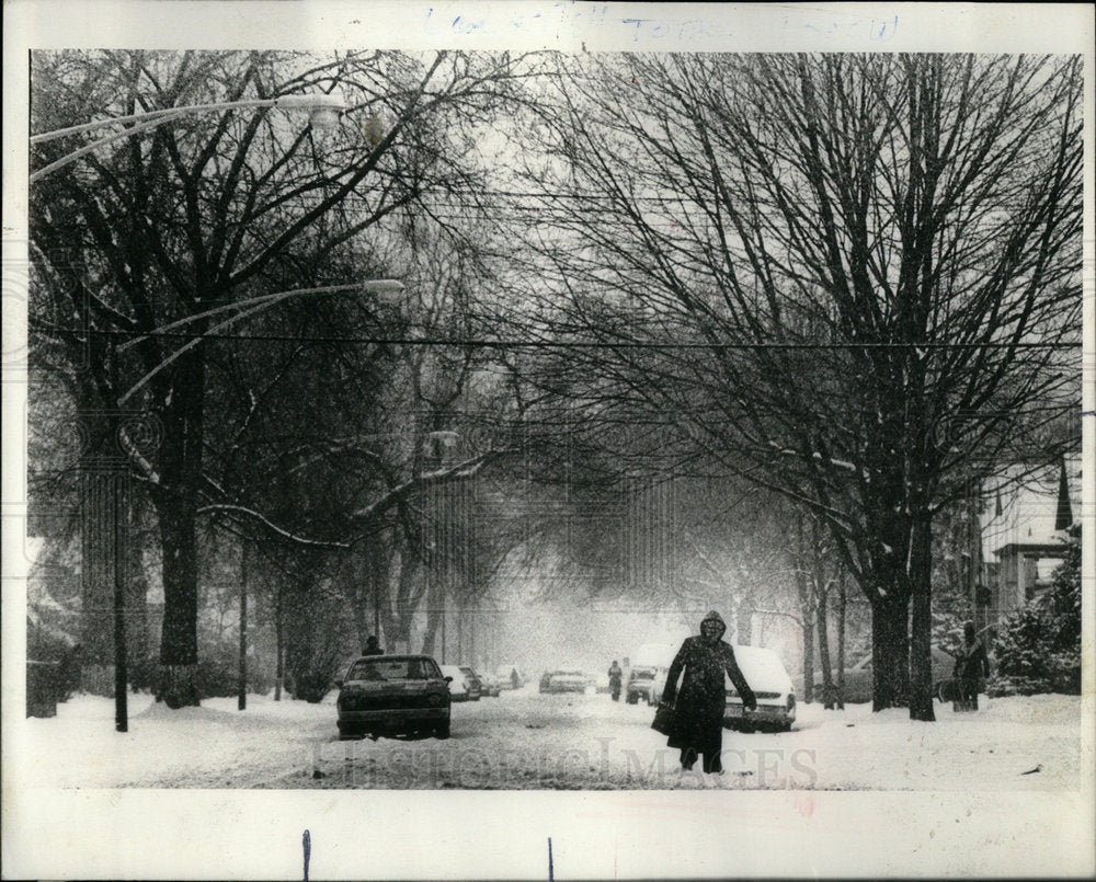 1981 Snow Storms Chicago Area - Historic Images