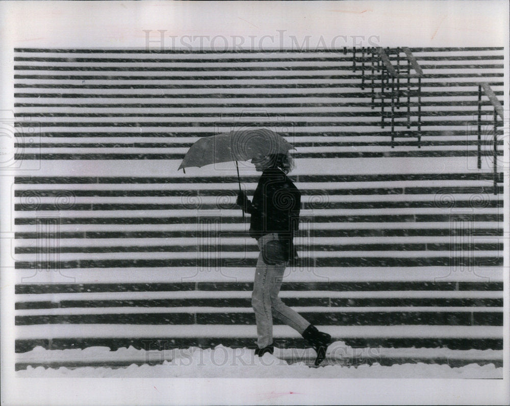 1990 Snowstorms Chicago Area - Historic Images