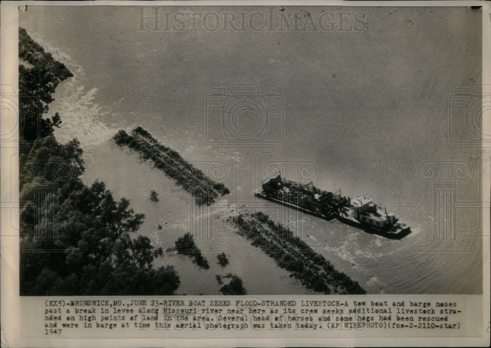 1947 River Boat Flood Livestock Boat Break - Historic Images