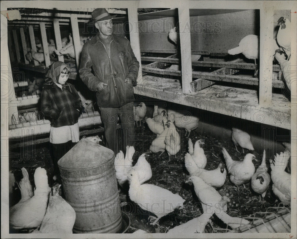 1950 New Chickens Chestnut Home Farm - Historic Images