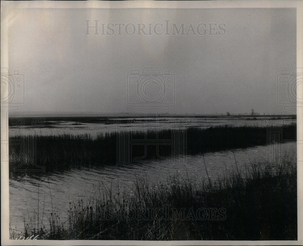 Horicon Marsh Drainage Ditch Wisconsin - Historic Images