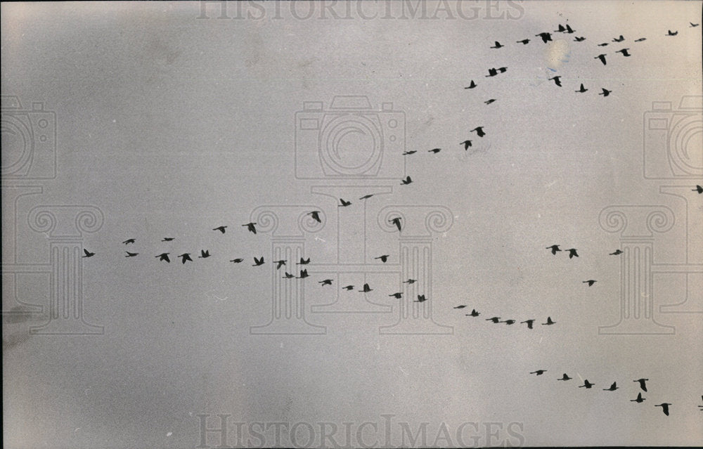 1980 National Wildlife Marsh Horicon Mich - Historic Images